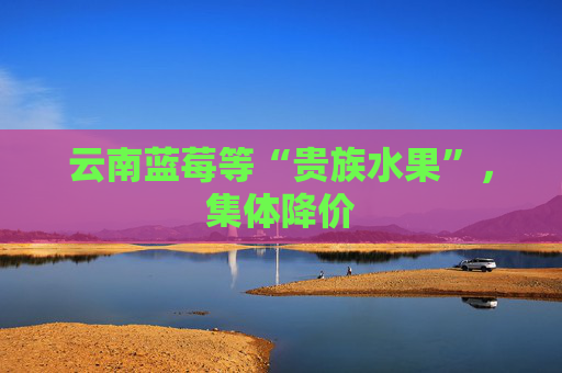 云南蓝莓等“贵族水果”，集体降价