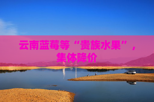 云南蓝莓等“贵族水果”，集体降价