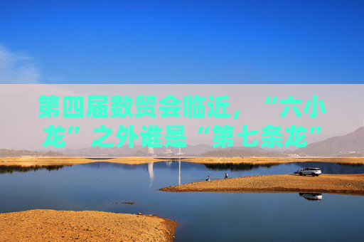 第四届数贸会临近，“六小龙”之外谁是“第七条龙”？