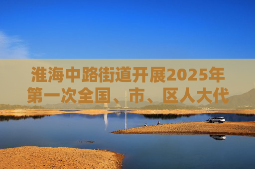 淮海中路街道开展2025年第一次全国、市、区人大代表集中联系社区活动