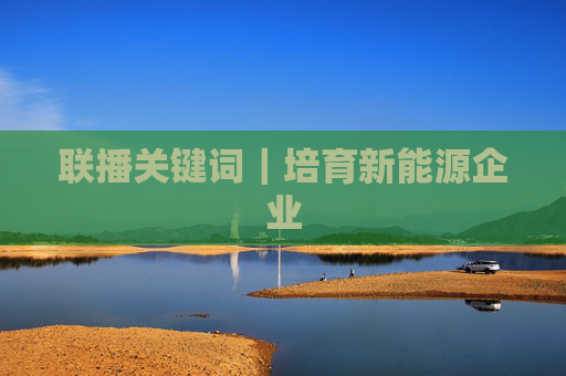 联播关键词｜培育新能源企业
