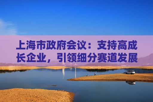 上海市政府会议：支持高成长企业，引领细分赛道发展