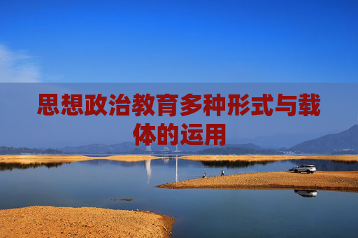 思想政治教育多种形式与载体的运用