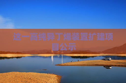 这一高纯异丁烯装置扩建项目公示