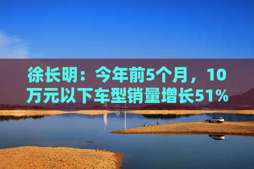 徐长明：今年前5个月，10万元以下车型销量增长51%