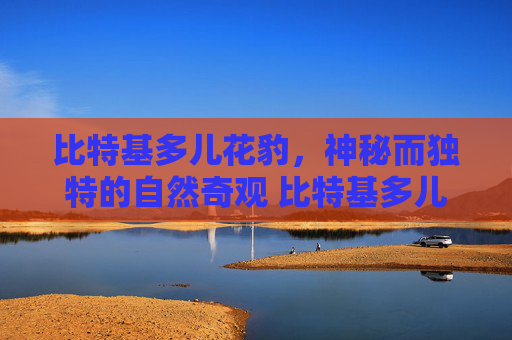 比特基多儿花豹，神秘而独特的自然奇观 比特基多儿花豹
