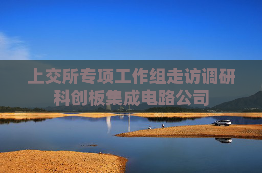 上交所专项工作组走访调研科创板集成电路公司