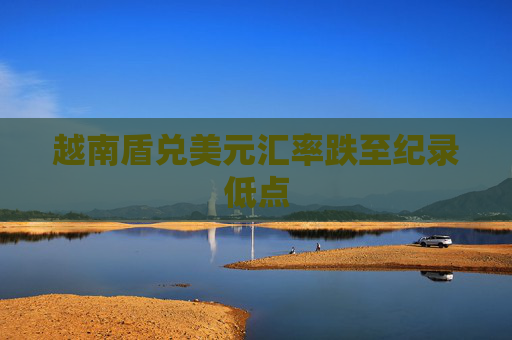 越南盾兑美元汇率跌至纪录低点