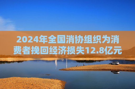 2024年全国消协组织为消费者挽回经济损失12.8亿元