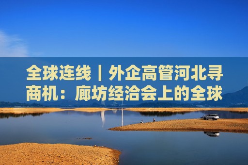 全球连线｜外企高管河北寻商机：廊坊经洽会上的全球机遇