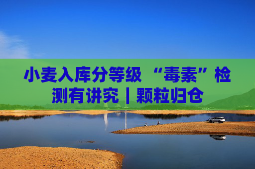 小麦入库分等级 “毒素”检测有讲究｜颗粒归仓