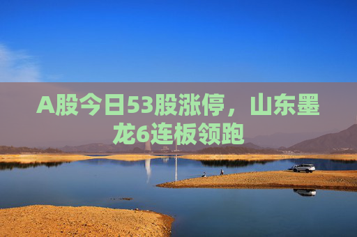 A股今日53股涨停，山东墨龙6连板领跑