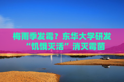 梅雨季发霉？东华大学研发“饥饿灭活”消灭霉菌