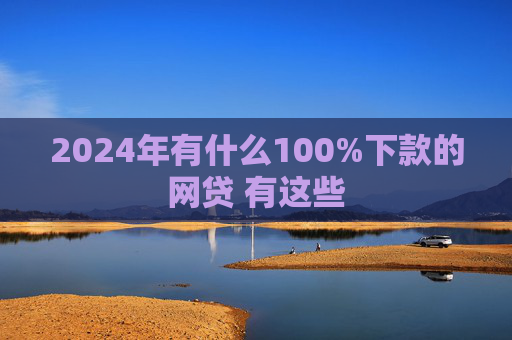 2024年有什么100%下款的网贷 有这些