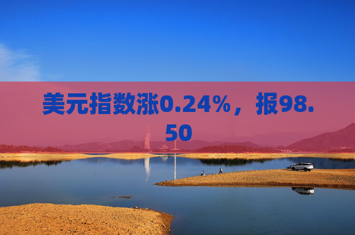 美元指数涨0.24%，报98.50