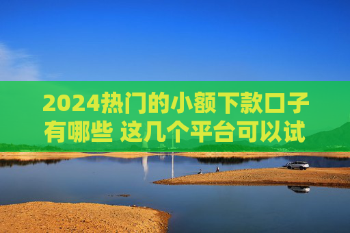 2024热门的小额下款口子有哪些 这几个平台可以试试