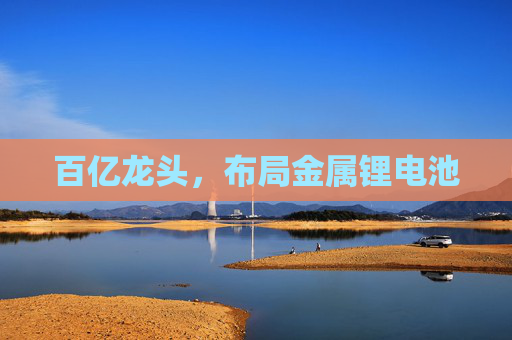 百亿龙头，布局金属锂电池