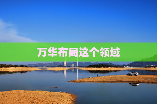 万华布局这个领域
