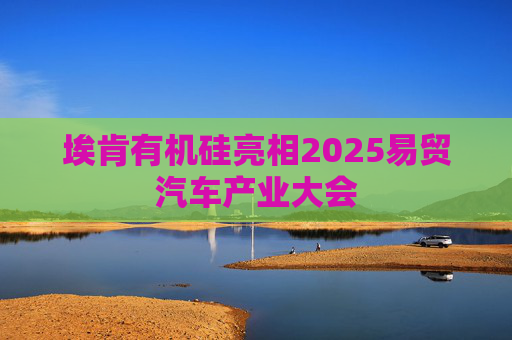 埃肯有机硅亮相2025易贸汽车产业大会