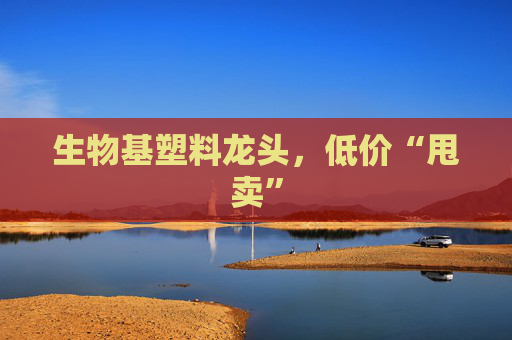 生物基塑料龙头，低价“甩卖”