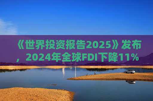 《世界投资报告2025》发布，2024年全球FDI下降11%