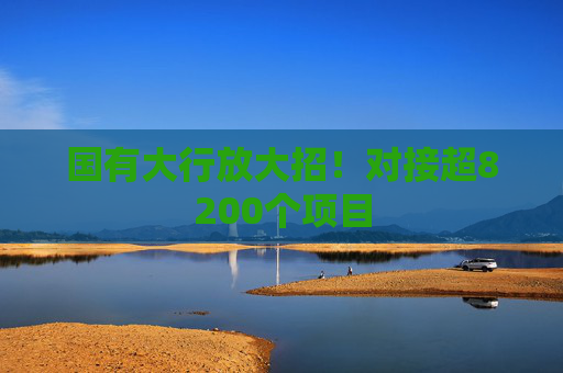 国有大行放大招！对接超8200个项目