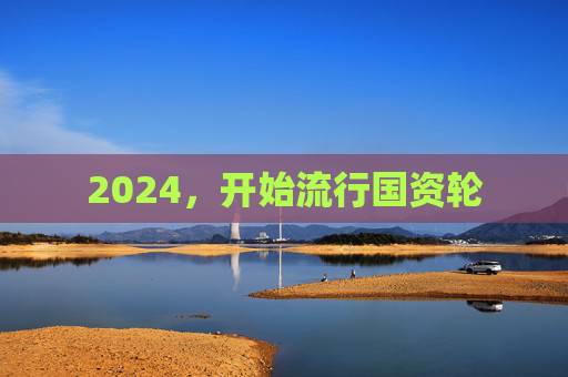 2024，开始流行国资轮
