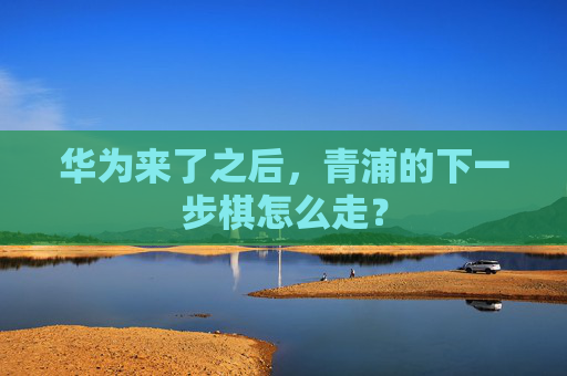 华为来了之后，青浦的下一步棋怎么走？