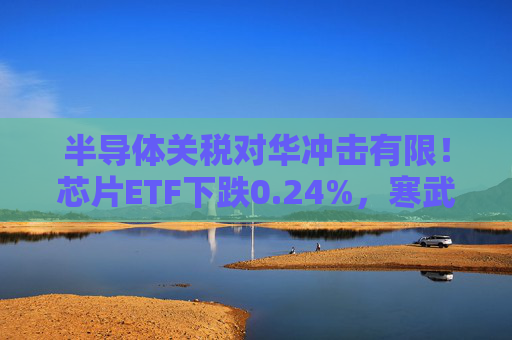 半导体关税对华冲击有限！芯片ETF下跌0.24%，寒武纪上涨1.30%