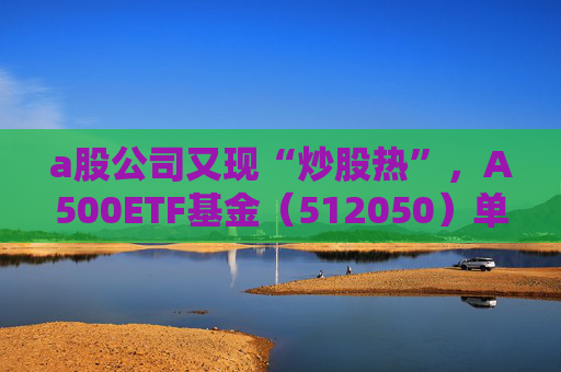 a股公司又现“炒股热”，A500ETF基金（512050）单日净流入2.88亿元