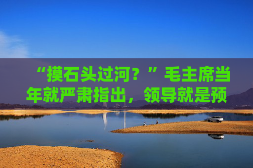 “摸石头过河？”毛主席当年就严肃指出，领导就是预见！