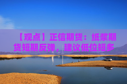 【观点】正信期货：纸浆期货短期反弹，建议低位短多操作