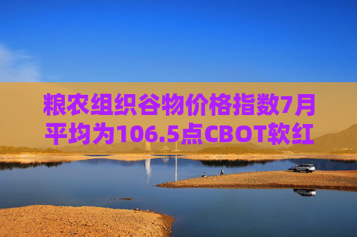 粮农组织谷物价格指数7月平均为106.5点CBOT软红冬小麦区间整理