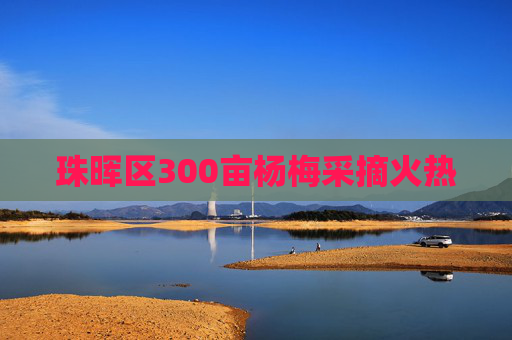 珠晖区300亩杨梅采摘火热