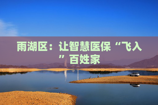 雨湖区：让智慧医保“飞入”百姓家