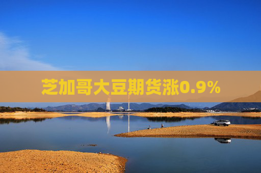 芝加哥大豆期货涨0.9%