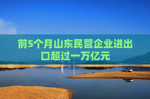 前5个月山东民营企业进出口超过一万亿元