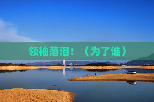 领袖落泪！（为了谁）
