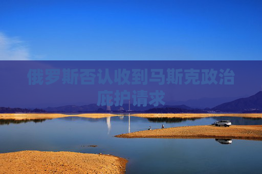 俄罗斯否认收到马斯克政治庇护请求