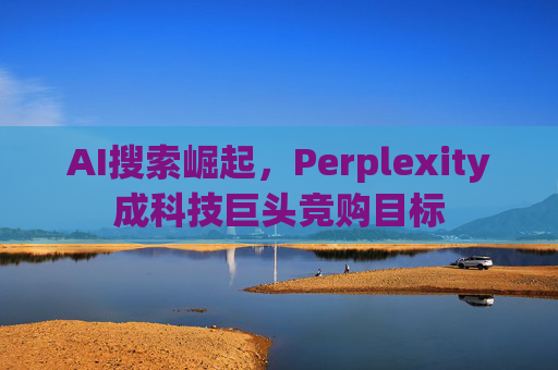 AI搜索崛起，Perplexity成科技巨头竞购目标