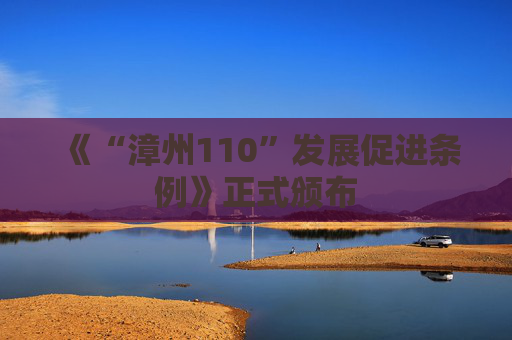 《“漳州110”发展促进条例》正式颁布