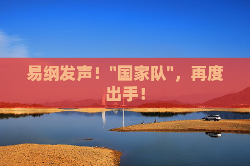 易纲发声！
