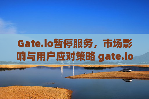 Gate.io暂停服务，市场影响与用户应对策略 gate.io暂停