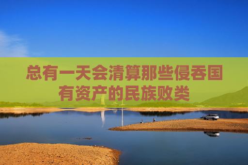总有一天会清算那些侵吞国有资产的民族败类