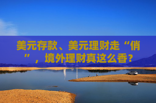 美元存款、美元理财走“俏”，境外理财真这么香？