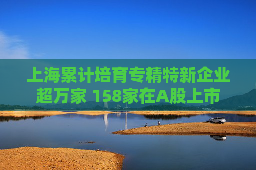 上海累计培育专精特新企业超万家 158家在A股上市