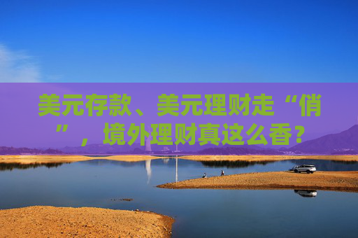 美元存款、美元理财走“俏”，境外理财真这么香？