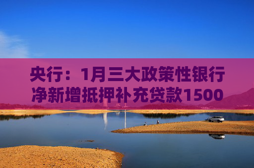 央行：1月三大政策性银行净新增抵押补充贷款1500亿元