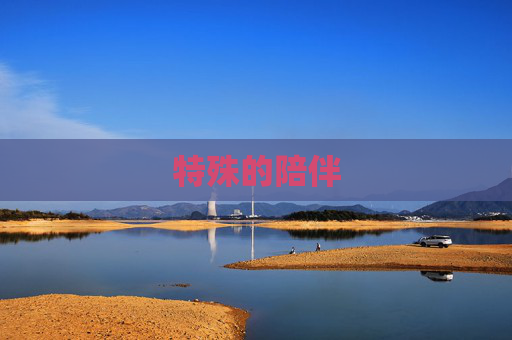 特殊的陪伴