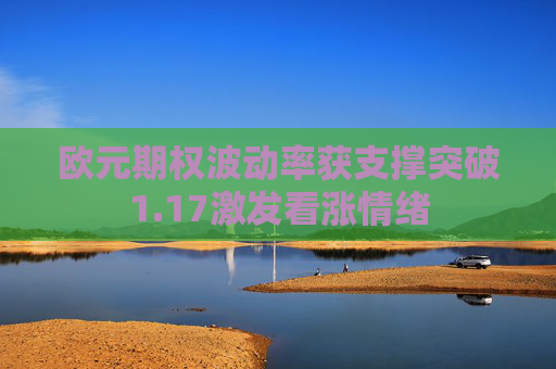 欧元期权波动率获支撑突破1.17激发看涨情绪